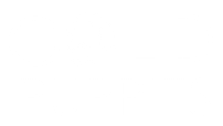 Gold Puppies